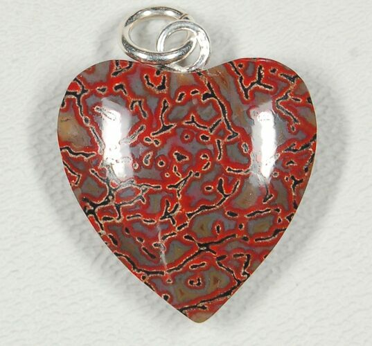 Red Heart, Agatized Dinosaur Bone (Gembone) Pendant #84762
